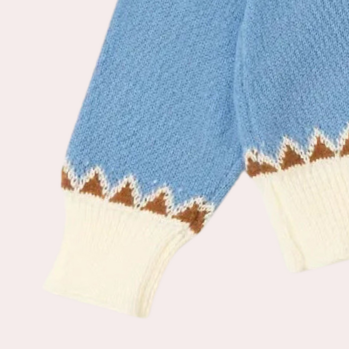 Blauwe gebreide trui met witte en bruine zigzagrand, lange mouw, wintermode, dameskleding, warme wollen stof, stijlvolle casual outfit.