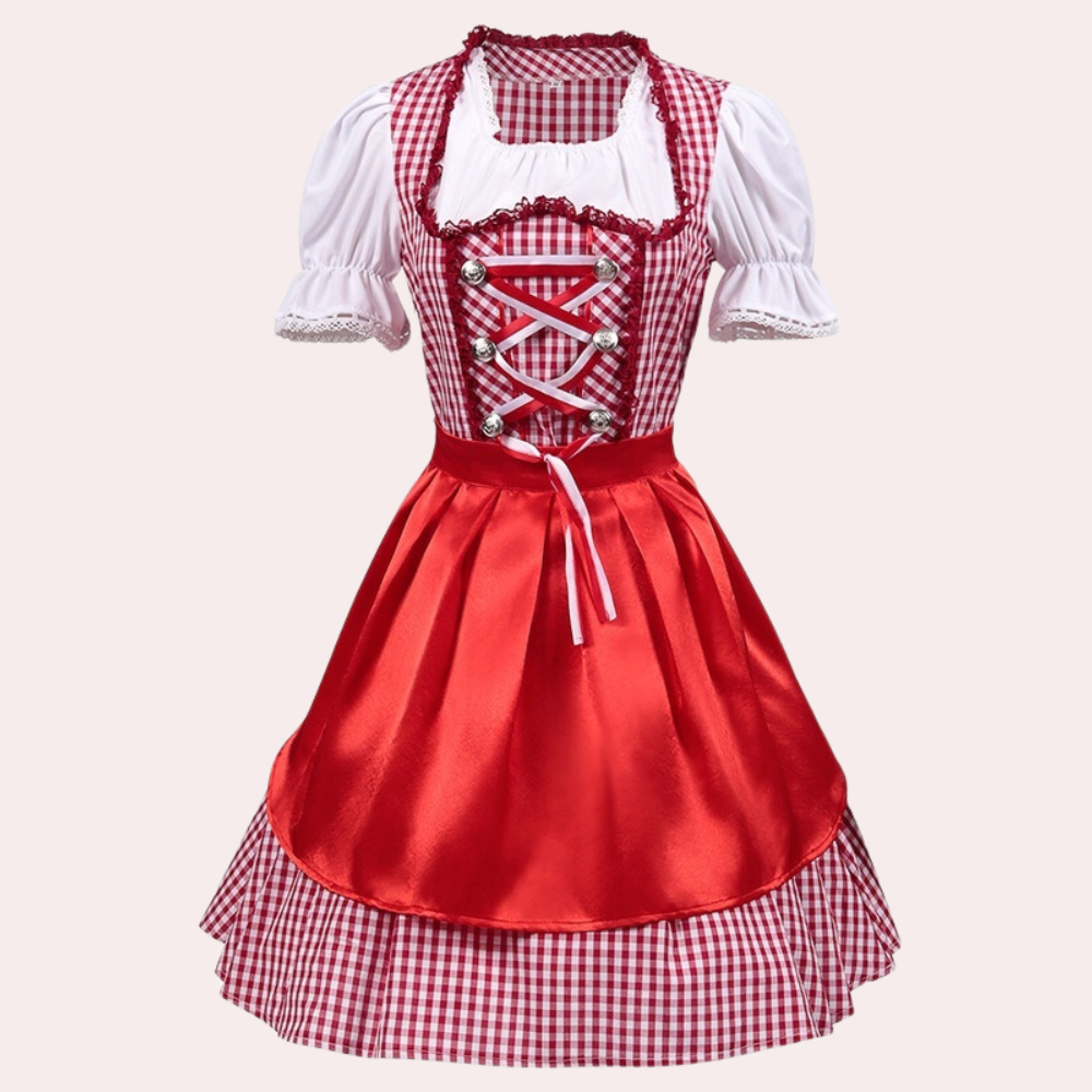 Rode dirndl jurk met geruite details, witte blouse en satijnen schort. Traditionele Beierse kleding voor Oktoberfest en themafeesten.
