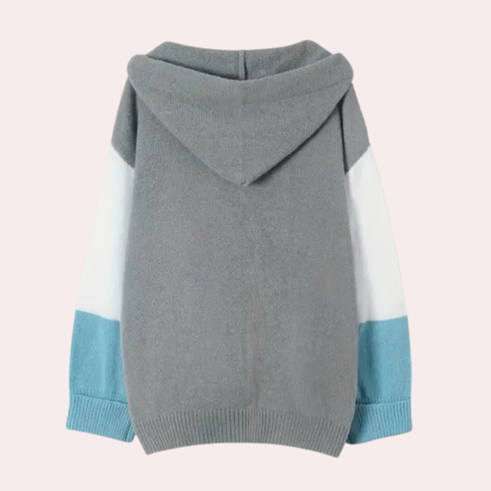 Grijze hoodie met capuchon, witte en blauwe mouwen, unisex kinderkleding, comfortabele katoenen trui, casual mode, herfst-winter outfit.