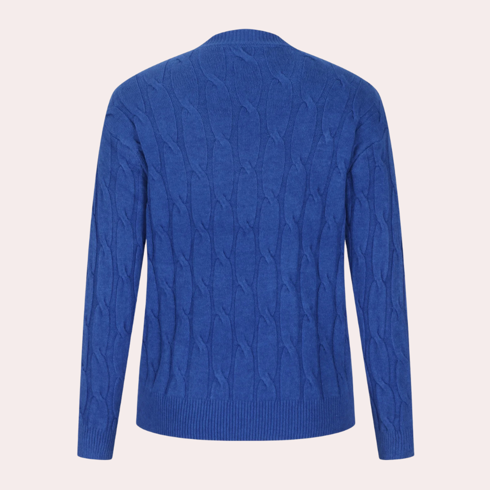 Blauwe kabeltrui heren, achterkant. Stijlvolle gebreide trui, wintermode, casual kleding, comfortabele pasvorm, hoogwaardige wolmix.