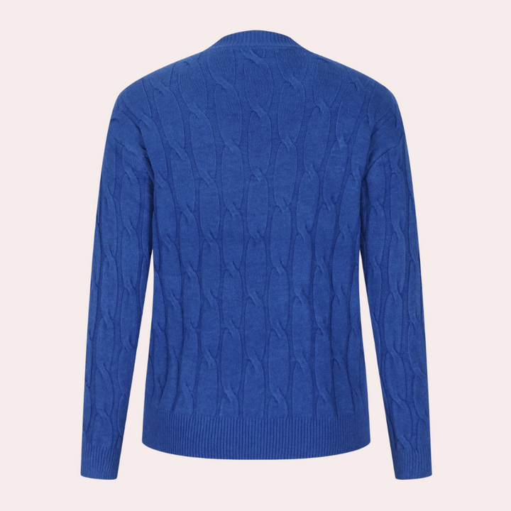 Blauwe kabeltrui heren, achterkant. Stijlvolle gebreide trui, wintermode, casual kleding, comfortabele pasvorm, hoogwaardige wolmix.