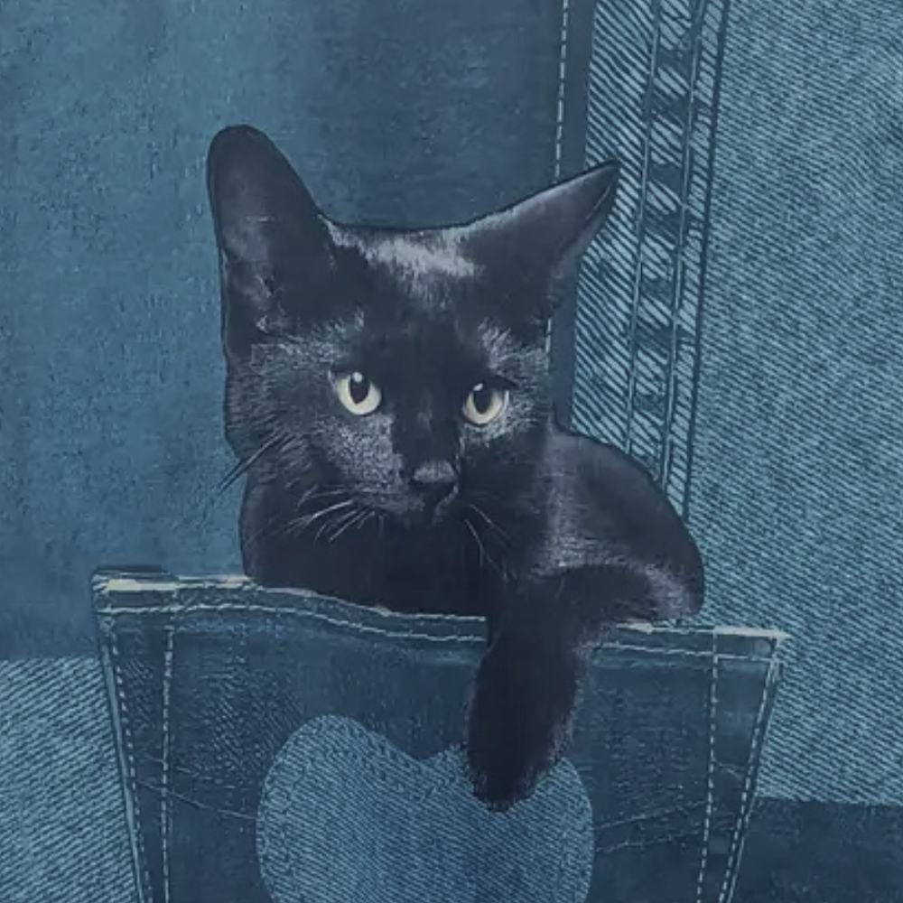 Zwarte kat op blauwe spijkerstof achtergrond, ontspannen liggend met poot over rand. Perfect voor denim en kattenliefhebbers.