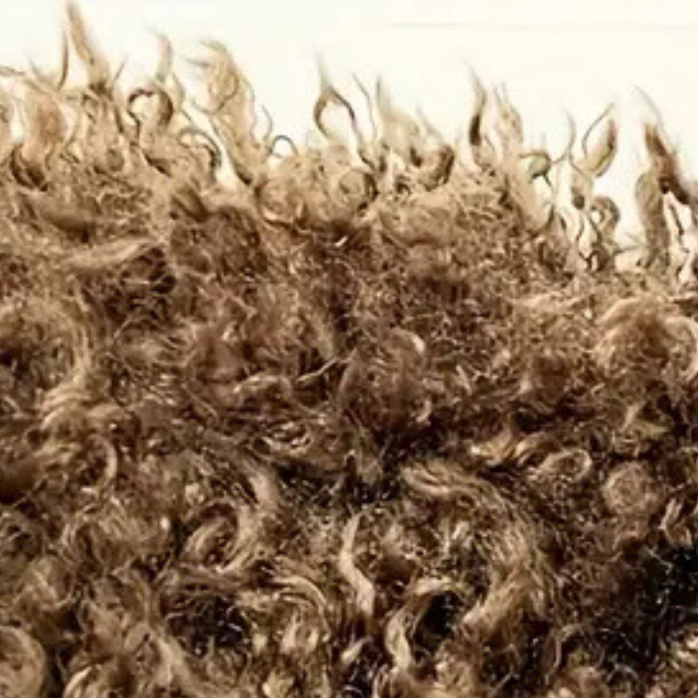 Close-up van krullend bruin haar, textuur en volume benadrukt. Geschikt voor haarverzorging, styling en kruldefinitie. Natuurlijke krullen.