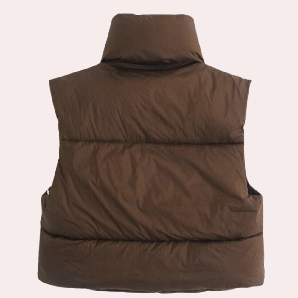 Donkerbruine gewatteerde bodywarmer, achteraanzicht. Modieuze winterkleding, unisex, warme isolatie, ideaal voor koude seizoenen.